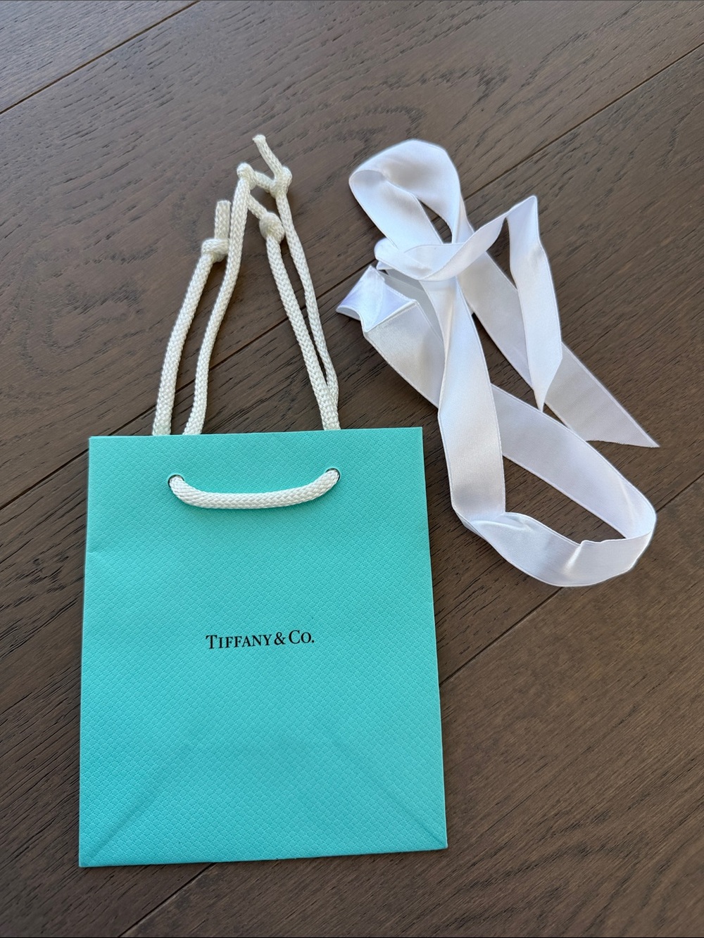 Authentic Tiffany & Co. Small Shopping Bag